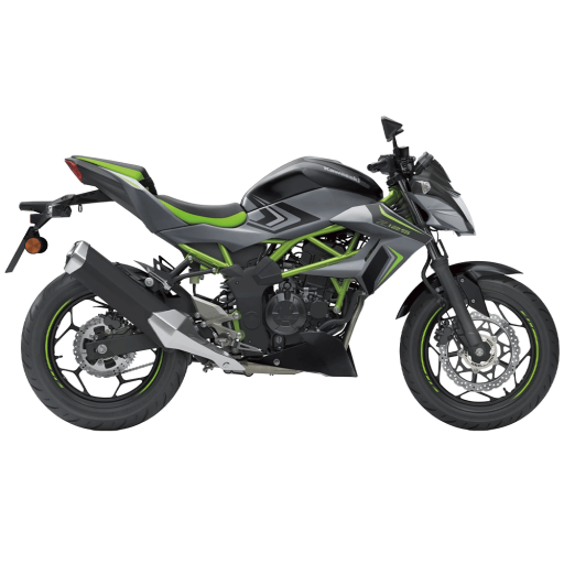 Z 125